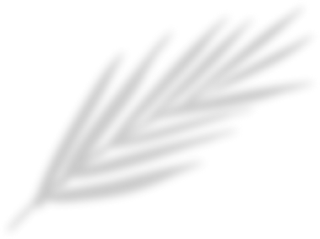 Leaf Shadow Overlay