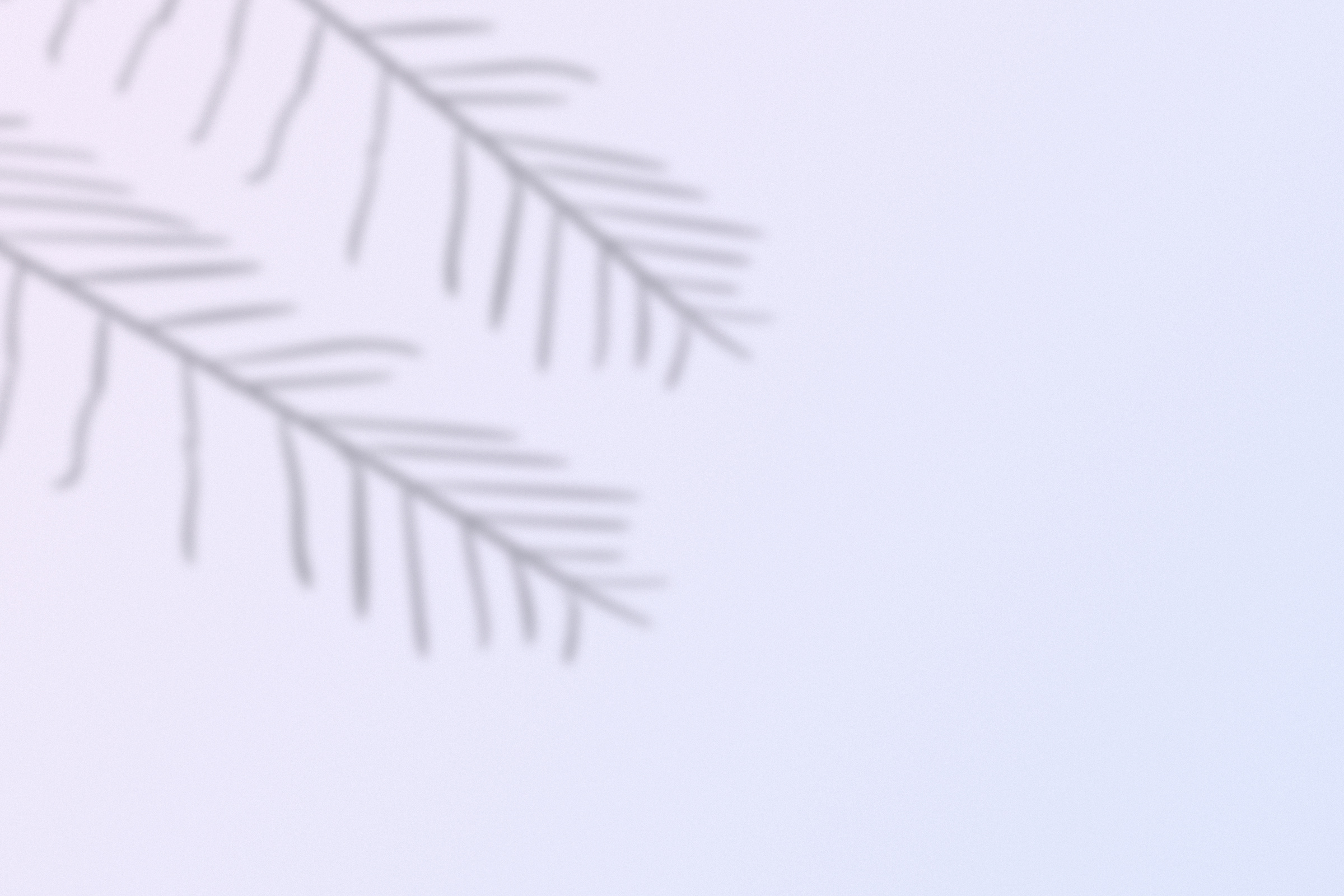 Leaves Shadow on Lavender Background 